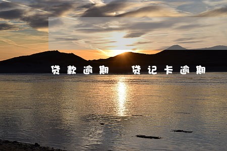 贷款逾期 贷记卡逾期 贷款逾期 贷记卡逾期